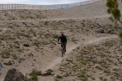 DSC_3058 (Large).JPG